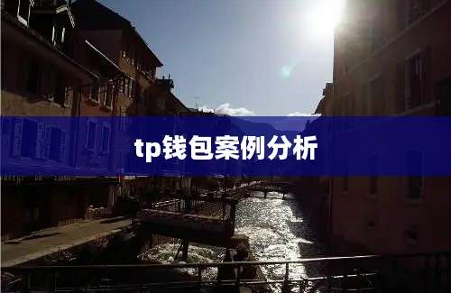 tp钱包案例分析