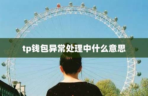 tp钱包异常处理中什么意思