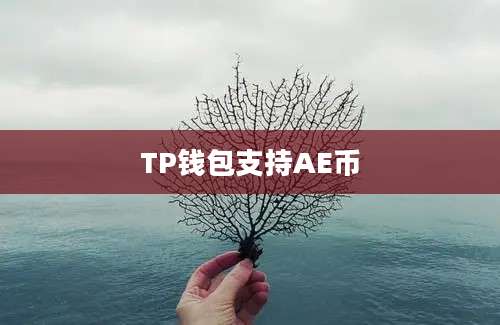 TP钱包支持AE币