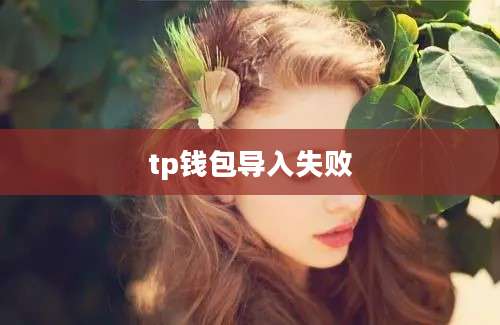 tp钱包导入失败