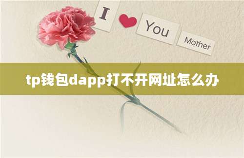tp钱包dapp打不开网址怎么办