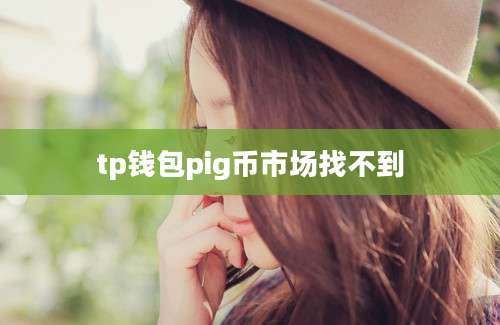 tp钱包pig币市场找不到
