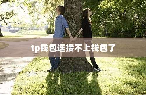 tp钱包连接不上钱包了