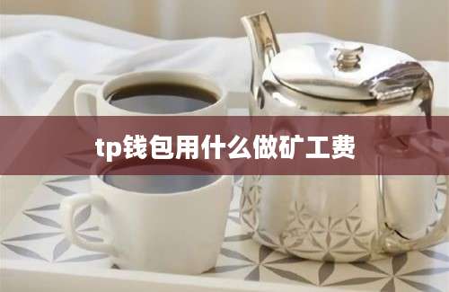 tp钱包用什么做矿工费