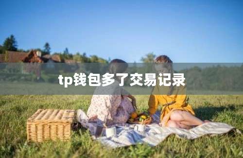 tp钱包多了交易记录
