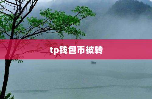 tp钱包币被转