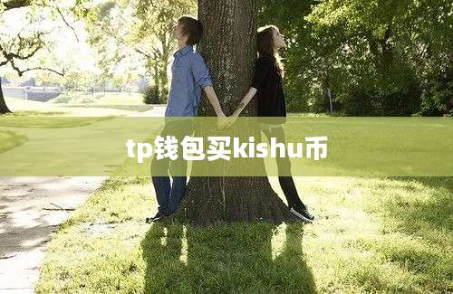 tp钱包买kishu币
