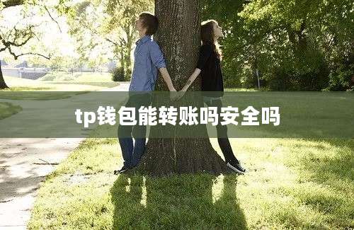 tp钱包能转账吗安全吗