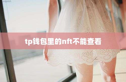 tp钱包里的nft不能查看