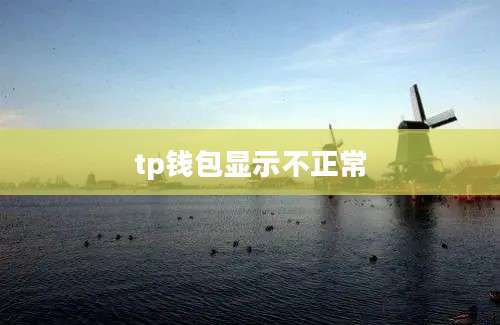 tp钱包显示不正常