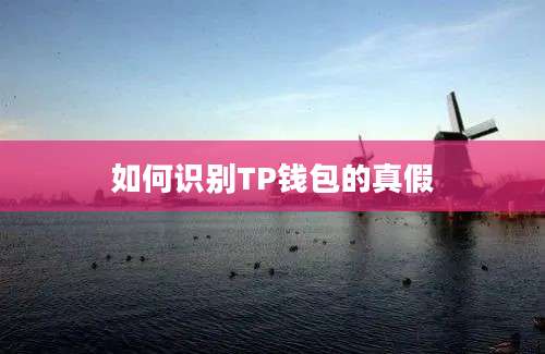 如何识别TP钱包的真假