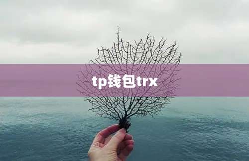 tp钱包trx