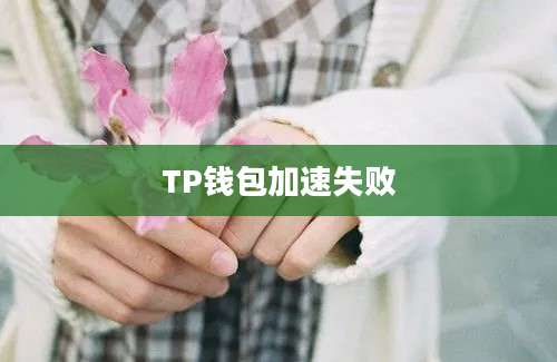 TP钱包加速失败
