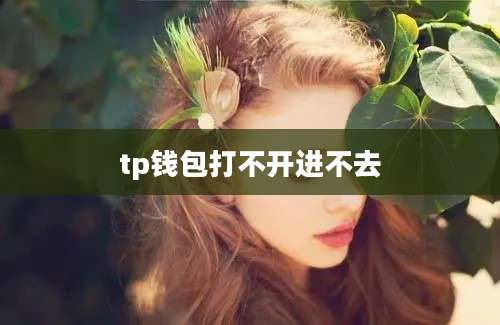 tp钱包打不开进不去