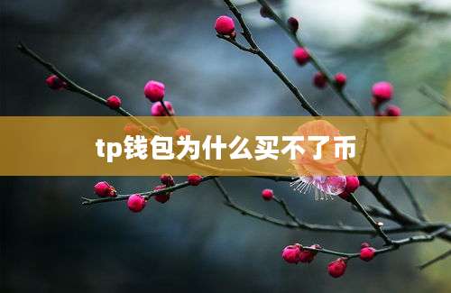 tp钱包为什么买不了币