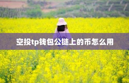 空投tp钱包公链上的币怎么用