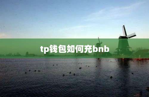 tp钱包如何充bnb