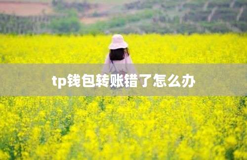 tp钱包转账错了怎么办