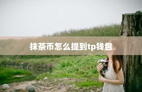 抹茶币怎么提到tp钱包