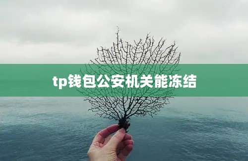 tp钱包公安机关能冻结
