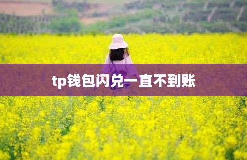 tp钱包闪兑一直不到账