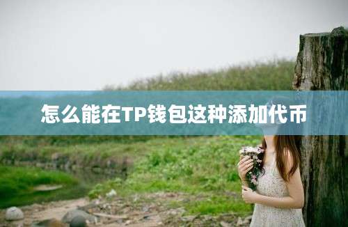 怎么能在TP钱包这种添加代币