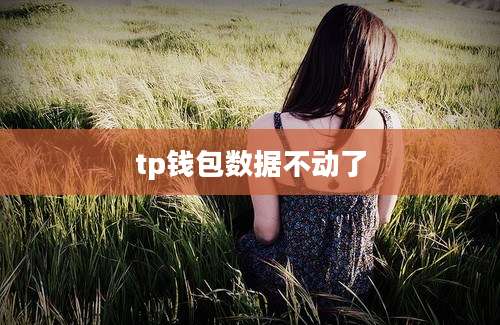 tp钱包数据不动了