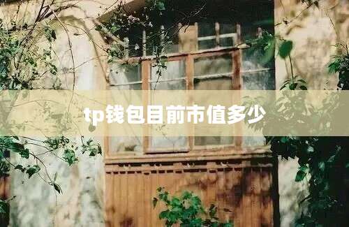 tp钱包目前市值多少
