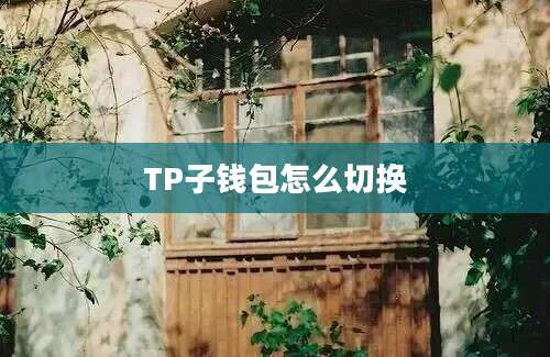 TP子钱包怎么切换