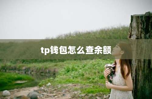 tp钱包怎么查余额