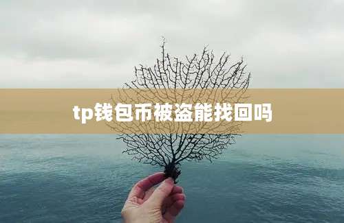 tp钱包币被盗能找回吗