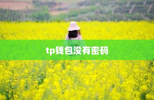 tp钱包没有密码