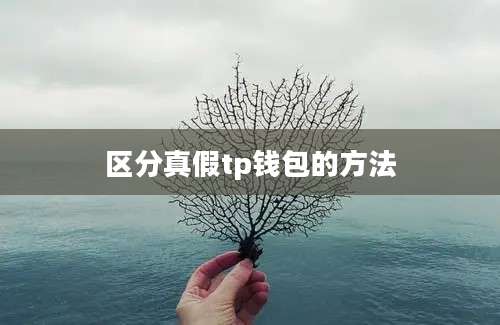 区分真假tp钱包的方法