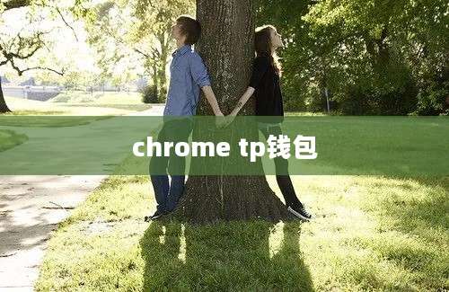 chrome tp钱包