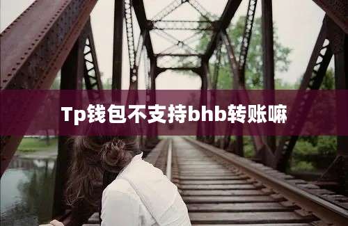 Tp钱包不支持bhb转账嘛