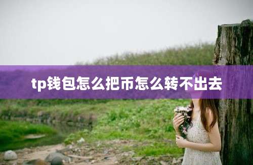 tp钱包怎么把币怎么转不出去