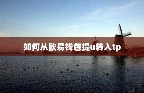 如何从欧易钱包提u转入tp