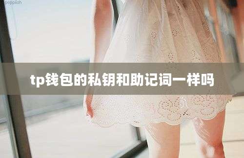 tp钱包的私钥和助记词一样吗