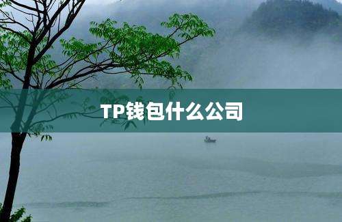 TP钱包什么公司