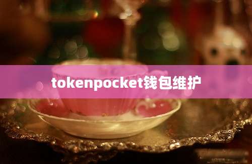 tokenpocket钱包维护