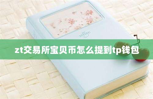 zt交易所宝贝币怎么提到tp钱包