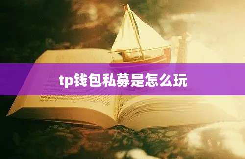 tp钱包私募是怎么玩