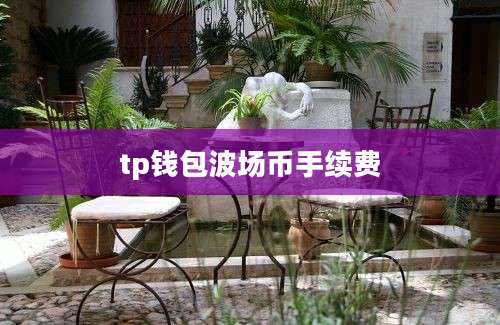 tp钱包波场币手续费