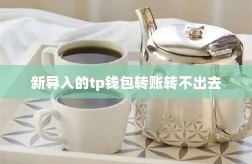 新导入的tp钱包转账转不出去