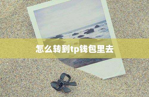 怎么转到tp钱包里去