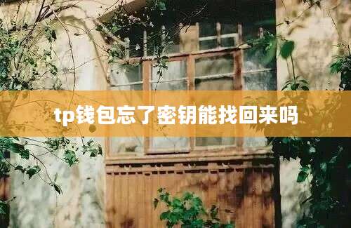 tp钱包忘了密钥能找回来吗