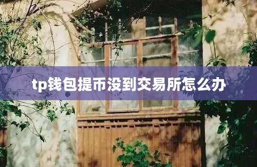 tp钱包提币没到交易所怎么办