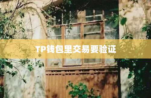 TP钱包里交易要验证