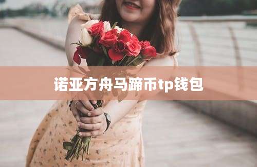 诺亚方舟马蹄币tp钱包