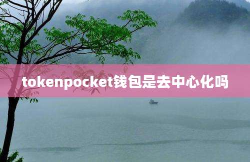 tokenpocket钱包是去中心化吗